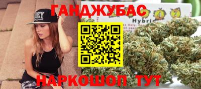 гидра Бердск