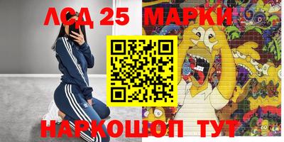 гидра Бердск