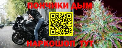 гидра Бердск