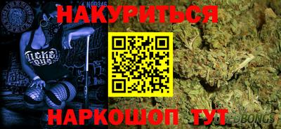 гидра Бердск