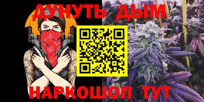 гидра Бердск