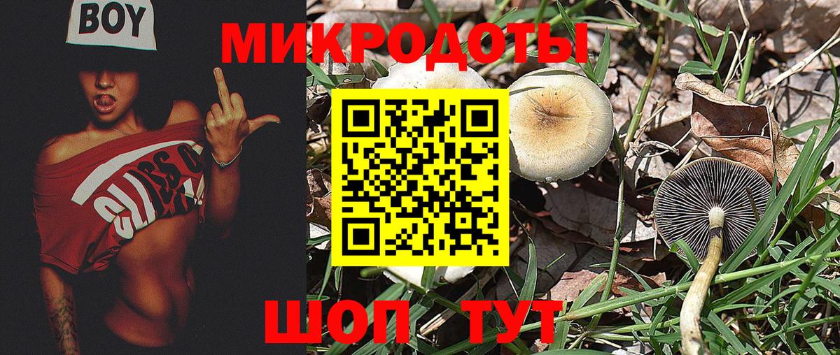 Галлюциногенные грибы Cubensis Звенигород