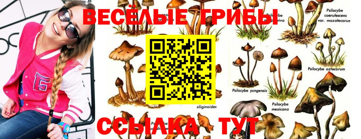 Галлюциногенные грибы GOLDEN TEACHER  Вход с VPN  Звенигород 